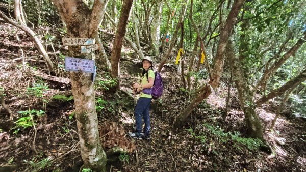 大混李棟山2816344