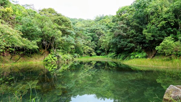 柯子林保甲路,如意湖,五指山古道2848897