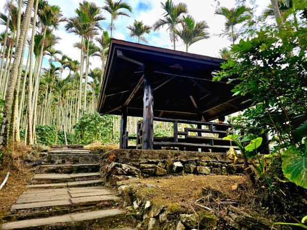 雲嘉大尖山、二尖山步道--(雲林)臺灣百大必訪步道2955779