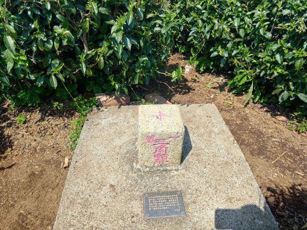 藤山步道登樟普寮一等三角點+挑水古道2749481