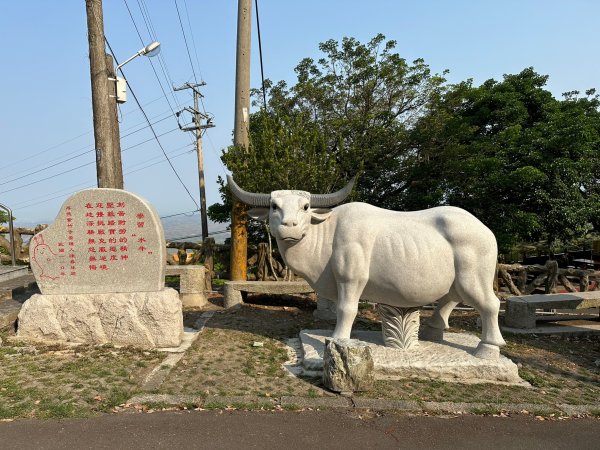 紫竹寺禮佛健走到刣牛湖山2105933