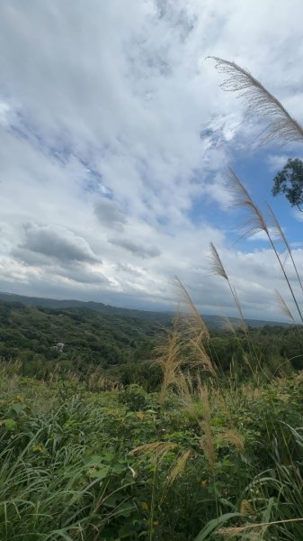 新竹新埔-九芎湖九福步道2618304