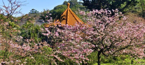 天元宮了嗎？2/32992577