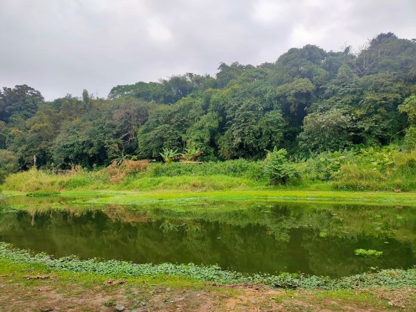 大溪［山豬湖生態園區］+［中庄吊橋］2231698