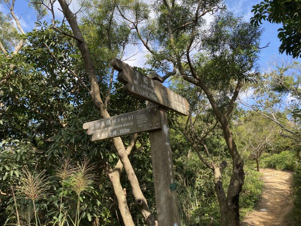 《踏青北投｜捷運唭哩岸到新北投・串走奇岩山、軍艦岩、幸福石》2979027