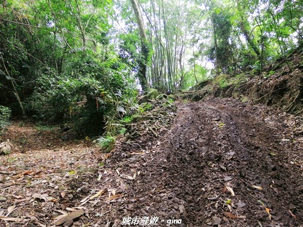 【台南。南化】開車比爬山還辛苦。小百岳集起來。編號66小百岳~西阿里關山1473563