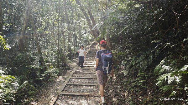 20251109 士林站到大湖站(福山宮_腰繞_燕溪古道_翠山步道_龍船岩_大溝溪)2932352