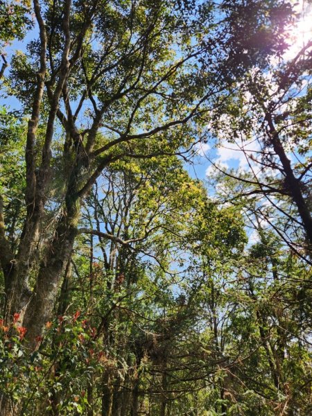 【中級山】邑治第一山，守城大山，連走守關山，守關山南峰2740908