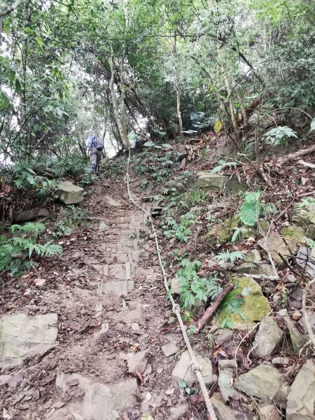 步道巡訪員 l 鳥嘴山步道11月巡訪日誌1161281