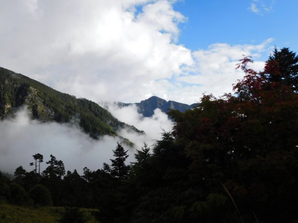 國慶日走雪主東464533