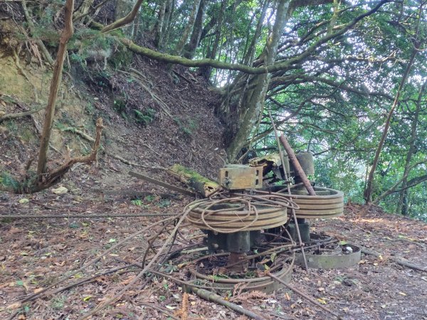 加里山（大坪登山口大O繞）2955443