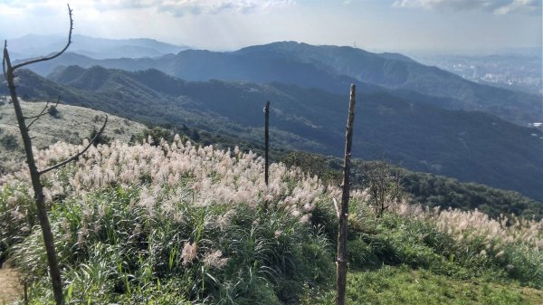 姜子寮山（小百岳011）封面