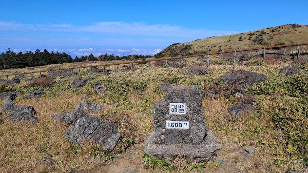 濟州島漢拏山-御里牧路線下2942704