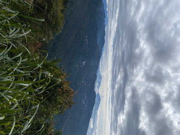 1131215大塔山步道2669205