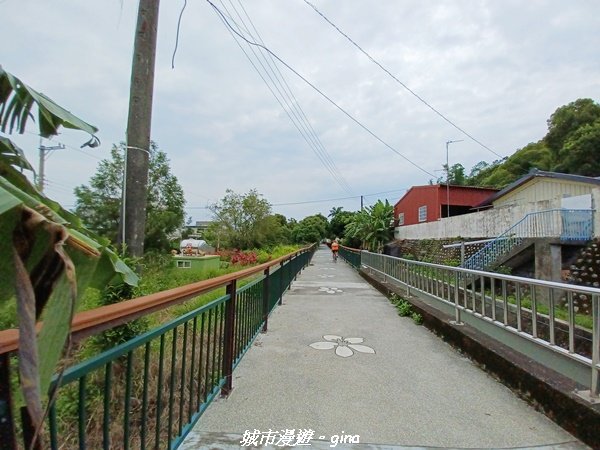 【台中外埔】沿著水圳散散步。 外埔水流東桐花步道1731455