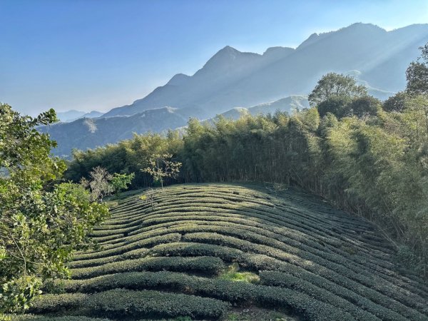 溪頭六連峰O繞2741793