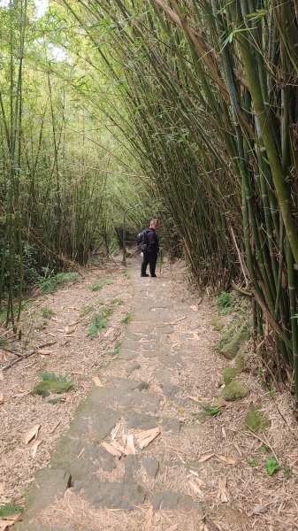 2026-0116 大屯三山_貴子坑_北投2984770