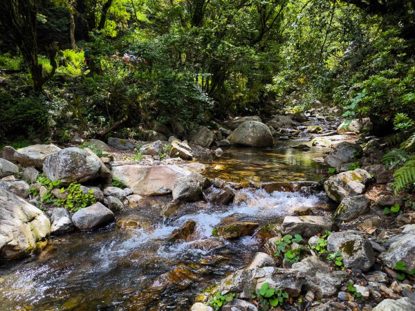 2025-05-17 羅葉尾溪秘境2792411