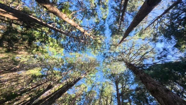 太平之旅 三星山/翠峰湖/見晴2873339
