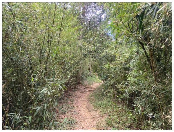 金龍湖、鷹石尖、老鷲尖、內溝山 O型一圈2966620