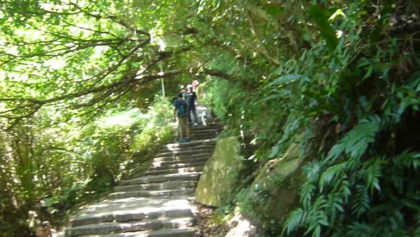 觀音山尋寶硬漢嶺/林梢步道/牛港稜山1030592