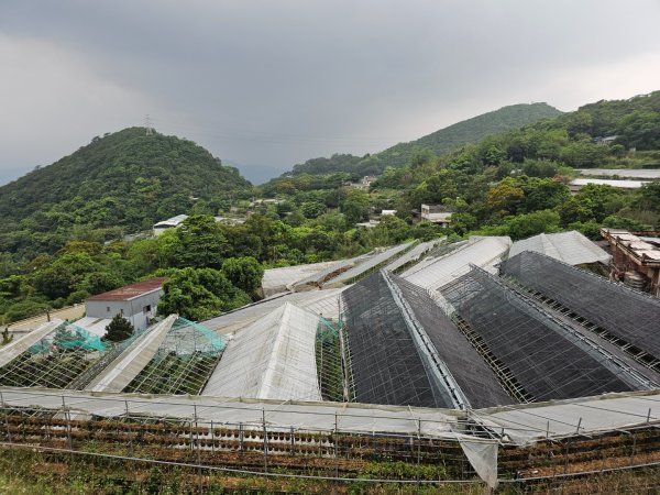 2026年臺北大縱走第四段：風櫃口至中華科技大學3037875