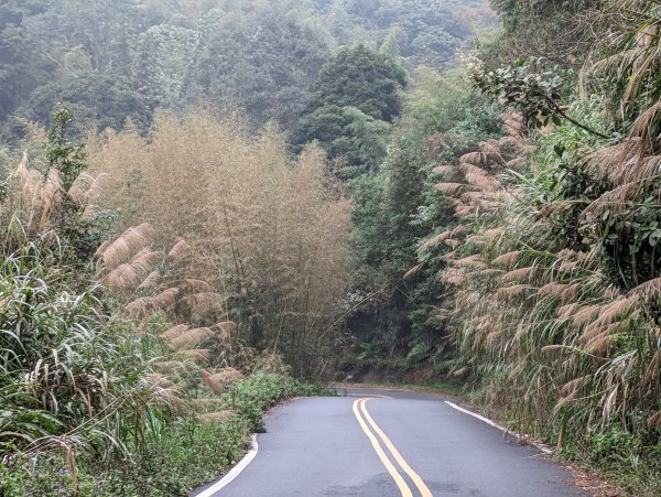 【小百岳055】雲林 石壁山1959501