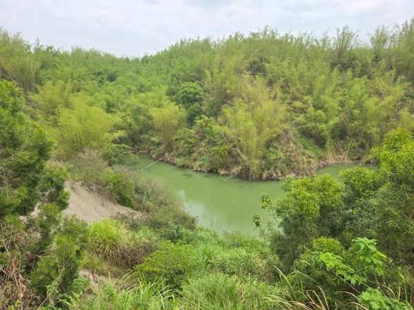 2025-04-07 左鎮後坑古道（牛港嶺）2757656