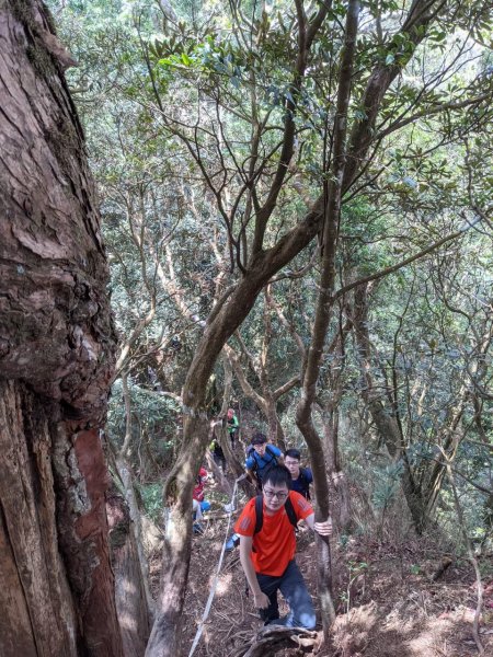 中級山-高島縱走2888426