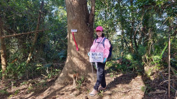 (姨婆趴趴走)第四十六集:新竹關西赤柯山及南峰、東西獅頭山、馬福山環狀縱走2685808