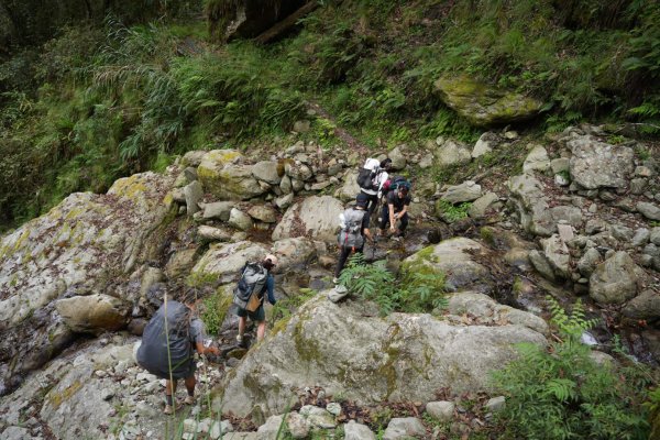 【新康橫斷】新康橫斷出瓦拉米2672365