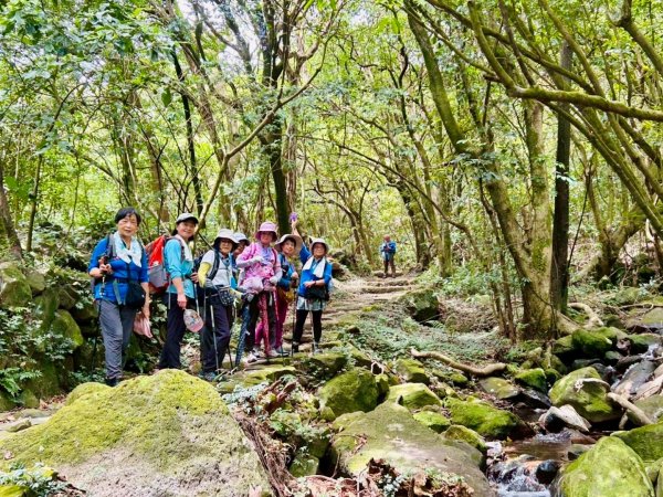 上磺溪橋走魚路古道/金包里城門/擎天崗/冷水坑2872152