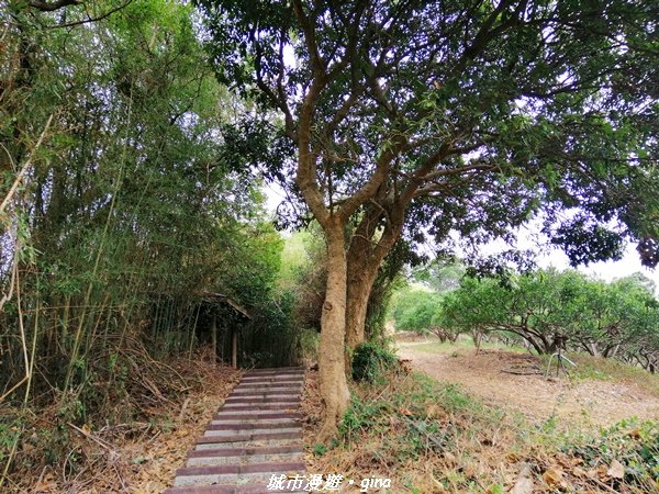 適合賞景健身親子型步道~鳳凰山觀音山步道1244178