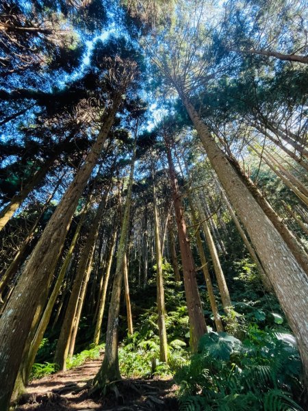 1141116油羅山2946420