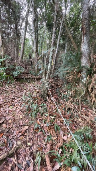 過坑山快閃2685069