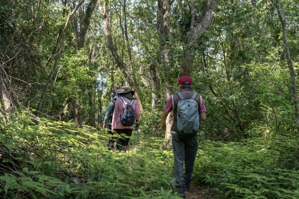 南澳/朝陽國家步道2751992