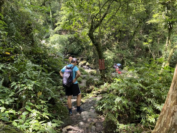 《探訪熊空秘境｜新北三峽雲森瀑布沁涼體驗》2878470