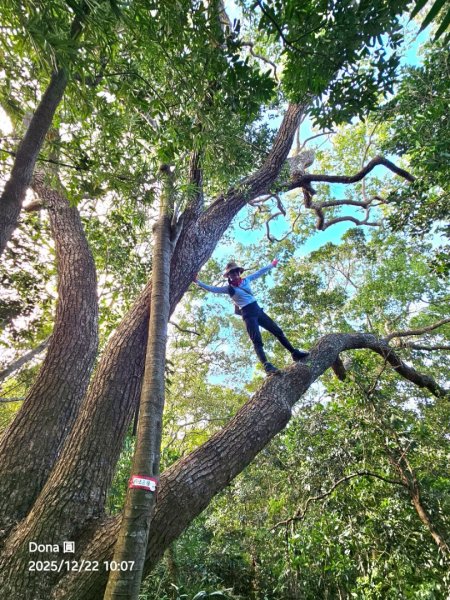 20251222竹東三山步道O型連走(樹杞林山、新具庄山、員崠子山)2975775
