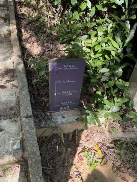 20250322四獸山步道2755451