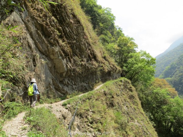 《南投》峽谷瀑布｜東埔八通關古道-雲龍瀑布201704162887738