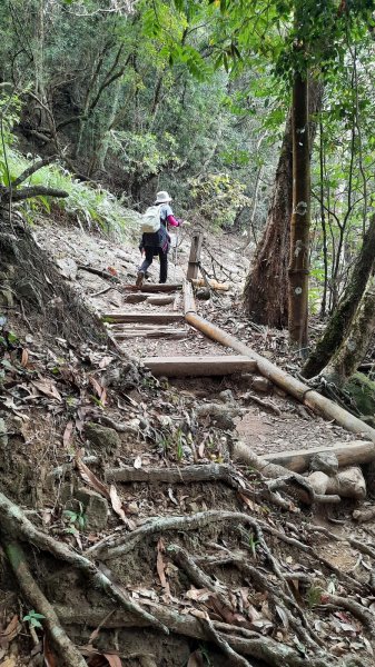 《苗栗》馬那邦山｜ 上湖線＞天然湖O巡202102201277410