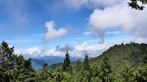 阿里山森遊區-祝山,對高岳步道2537013