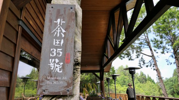 阿里山森遊區-祝山,對高岳步道2537009