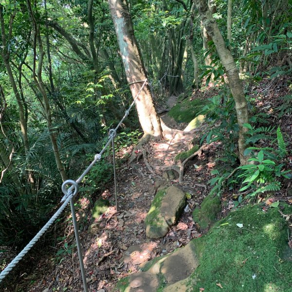 20260412鳶山東峰、長春嶺、鳶山（福德坑山）三角點、鳶山彩壁、鳶山岩、光復紀念鐘3045612