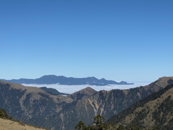 20250104-05 向陽縱走魔保來溪頭山出關山嶺山2683519