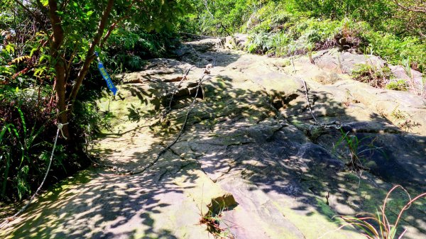 龍脊上的呼吸 (劍龍稜)2993682