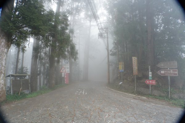 南投 鹿谷 龍鳳山、龍鳳峽山、三叉崙山、水桶寮山、內樹皮山、羊頭崙山、志騰山、竹崙山、溪頭山2962323