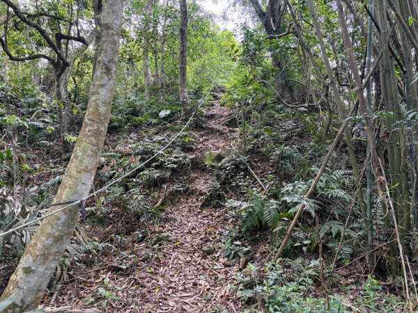 暗影山步道2753084