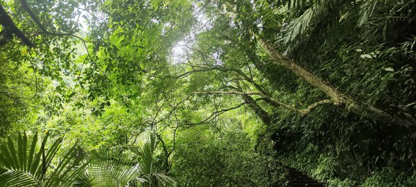 新竹內灣．馬胎古道202506212823511