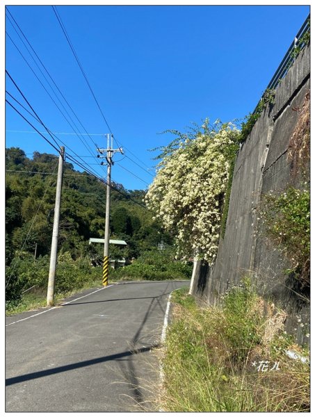 石圍牆山、北峰展望(台中、東勢)2669964